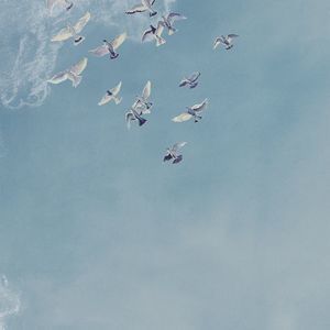 papel de parede contemporâneo