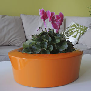 vaso contemporâneo