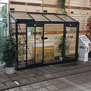 estufa para jardinagem