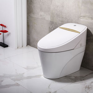 vaso sanitário inteligente