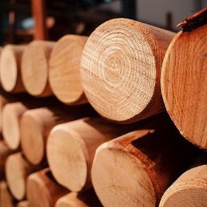 viga em madeira 1