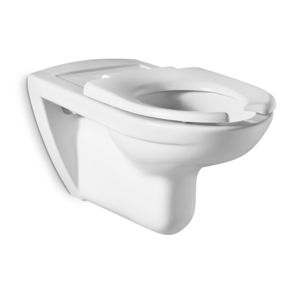 vaso sanitário suspenso