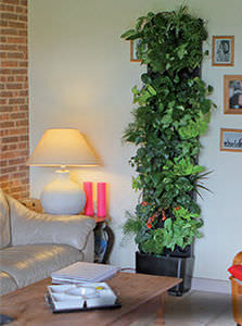 parede verde para ambiente interno