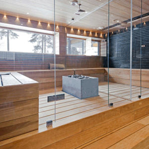 forno para sauna seca contemporâneo 1