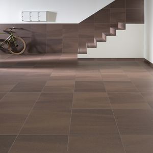 ladrilho para ambiente interno / para ambiente externo / de parede / de piso