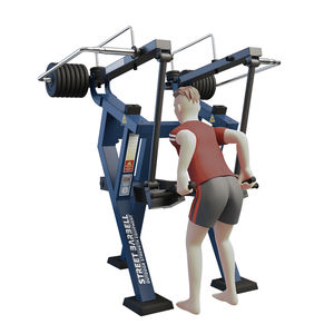 aparelho de musculação extensão das costas