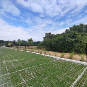 base para espaço verde para árvores