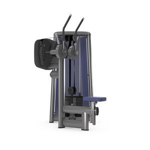 aparelho de musculação supino vertical (chest press) 1