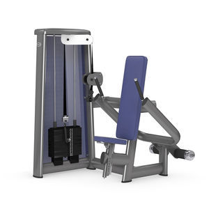 aparelho de musculação mergulho em paralelas (dips) 1