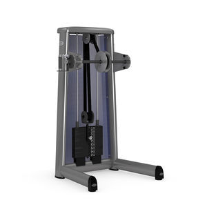 aparelho de musculação torção 1