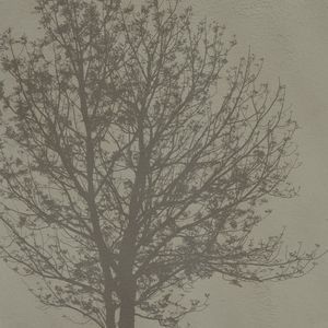 papel de parede contemporâneo 1