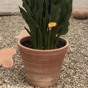 vaso de jardim em terracota
