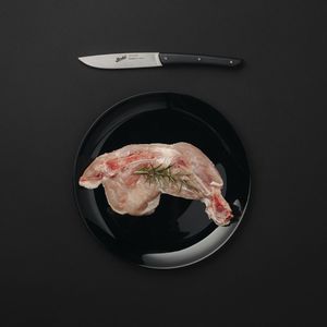 faca de carne com cabo de plástico 1