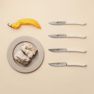 faca de carne com cabo de plástico 1