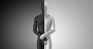 busto de moda
