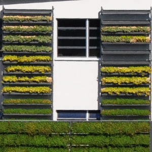 kit para parede verde modular