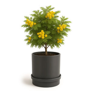 floreira metálica