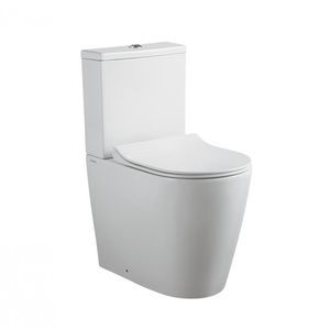 vaso sanitário monobloco 1