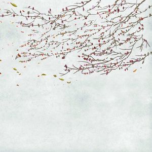 papel de parede contemporâneo