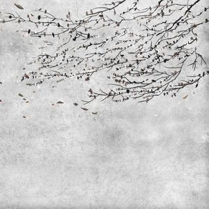 papel de parede contemporâneo