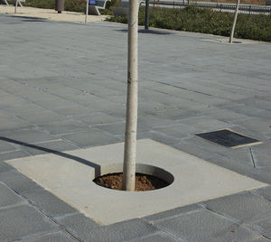 grelha arvoreira quadrada 1