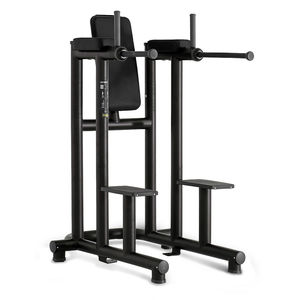 aparelho de musculação mergulho em paralelas (dips) 1