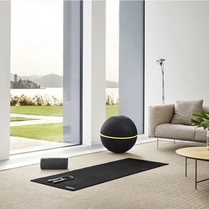 bola de Pilates grande 1