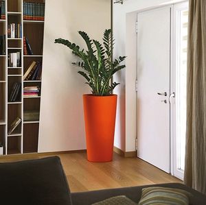 vaso contemporâneo