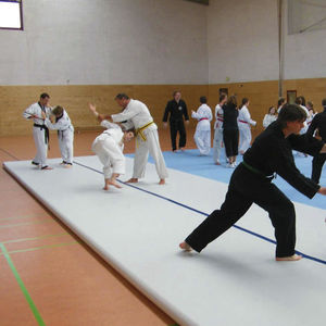 tatame esportivo