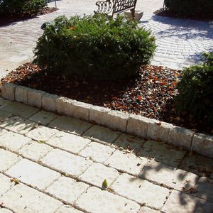 guia de jardim