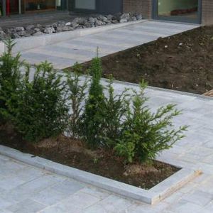 guia de jardim