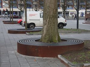 borda de árvore