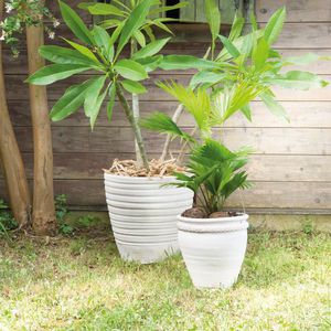 vaso de jardim em terracota