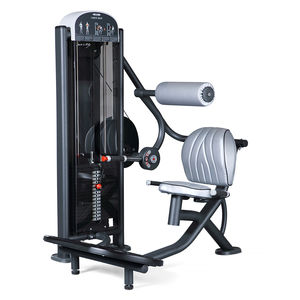 aparelho de musculação extensão das costas 1