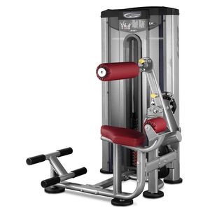 aparelho de musculação extensão das costas