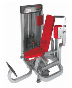 aparelho de musculação tipo voador