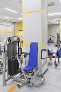 aparelho de musculação supino vertical (chest press)