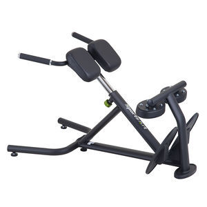 aparelho de musculação extensão das costas