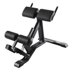 aparelho de musculação extensão das costas