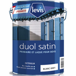 tinta decorativa 1