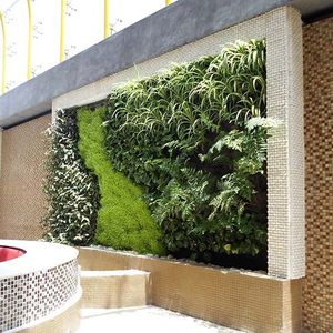 parede verde de plantas naturais