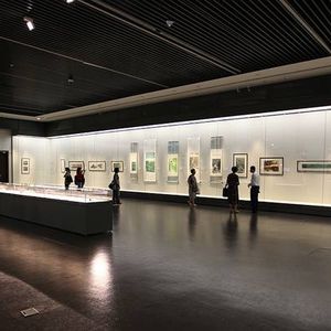 vitrina contemporânea