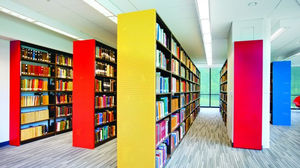 estante profissional para biblioteca