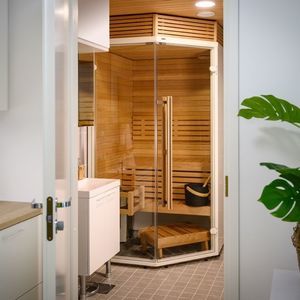 sauna finlandesa 1