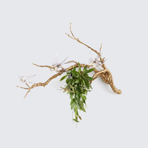 Arandela contemporânea - MAGICAL SPRIG & NEST SMALL - Serip - para ambiente interno / em bronze / em vidro