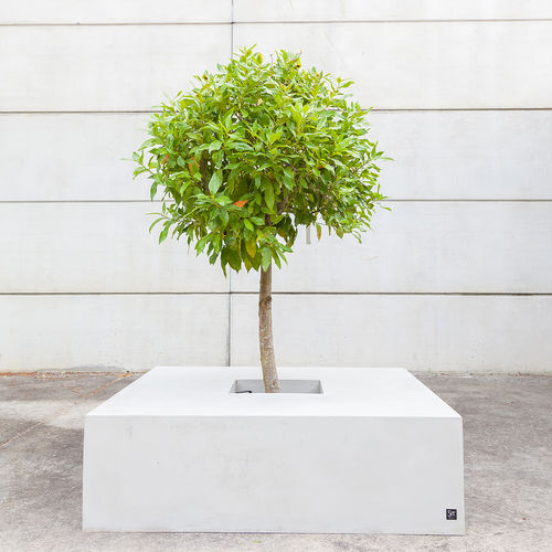 Floreira em concreto reforçado com fibras - BASIC : 215 / 216 / 217 - SIT Urban Design - quadrada / com banco integrado / contemporânea