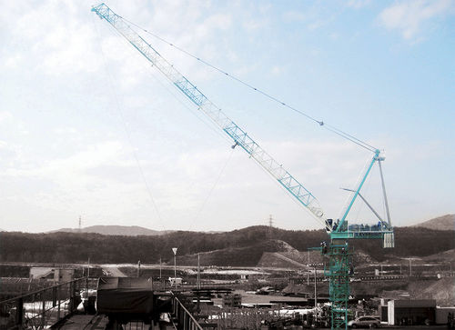 Guindaste com lança elevatória - ED300L-16 - Everdigm Corp - fixo / de elevação / para construção civil