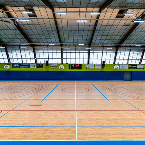 Piso esportivo para ambiente interno - LUMAFLEX ENERGY OMNISPORTS REFERENCE MULTI-USE - Tarkett Sports Indoor - em madeira / vinílico / para sala multiesportiva