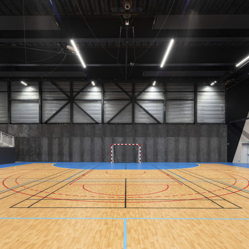 Piso esportivo para ambiente interno - OMNISPORTS ACTIVE+  - Tarkett Sports Indoor - vinílico / para escola / para atletismo