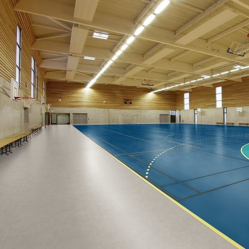 Piso esportivo para ambiente interno - LUMAFLEX EVOLUTION E OMNISPORTS SPEED - Tarkett Sports Indoor - em bétula / vinílico / para escola